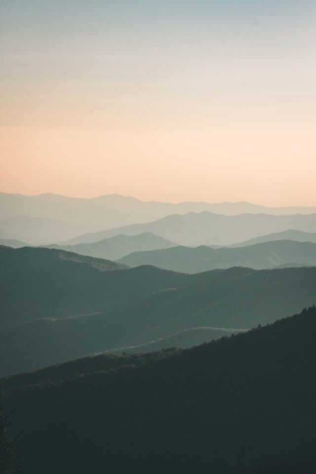 Performance-driven partnerships